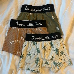 Brave Little Ones boxer brief 3 pack